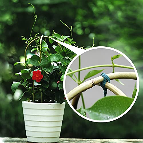 Cambaverd 3 Pack Min Bamboo Trellis 16 in Fan -Shaped Plant Support Trellis with Twist Ties for Indoor Mini Climbing Plants Hoya Potted Plants House Plants Vine Ivy