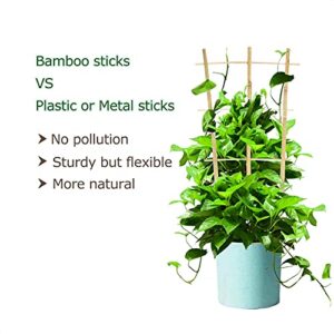 Cambaverd 3 Pack Min Bamboo Trellis 16 in Fan -Shaped Plant Support Trellis with Twist Ties for Indoor Mini Climbing Plants Hoya Potted Plants House Plants Vine Ivy