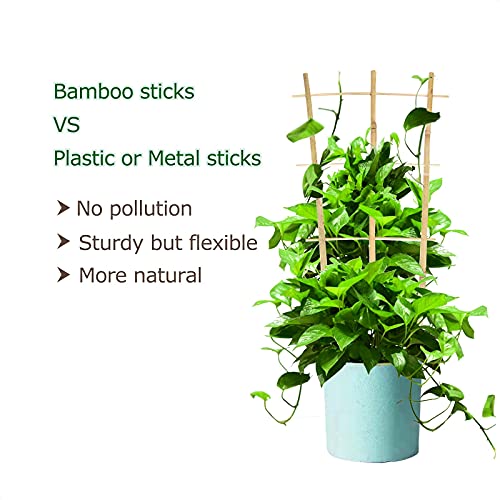 Cambaverd 3 Pack Min Bamboo Trellis 16 in Fan -Shaped Plant Support Trellis with Twist Ties for Indoor Mini Climbing Plants Hoya Potted Plants House Plants Vine Ivy