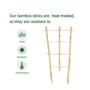 Cambaverd 3 Pack Min Bamboo Trellis 16 in Fan -Shaped Plant Support Trellis with Twist Ties for Indoor Mini Climbing Plants Hoya Potted Plants House Plants Vine Ivy