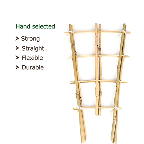 Cambaverd 3 Pack Min Bamboo Trellis 16 in Fan -Shaped Plant Support Trellis with Twist Ties for Indoor Mini Climbing Plants Hoya Potted Plants House Plants Vine Ivy