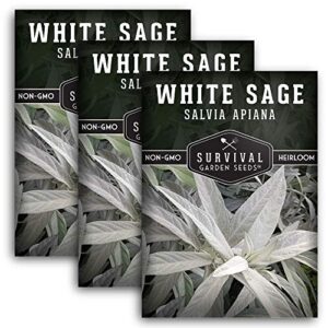 survival garden seeds – white sage seed for planting – grow sustainable smudging incense – pack with instructions to plant & grow in your home garden – non-gmo heirloom variety – 3 packet