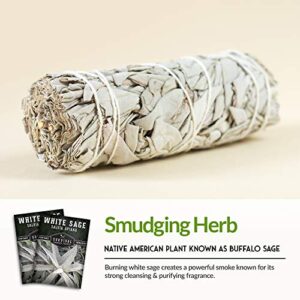 Survival Garden Seeds - White Sage Seed for Planting - Grow Sustainable Smudging Incense - Pack with Instructions to Plant & Grow in Your Home Garden - Non-GMO Heirloom Variety - 3 Packet