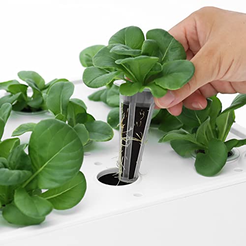 iDOO Replacement Grow Sponges (60 Pcs) ID-IG301 ID-IG303 ID-IG302 I-D-01 12Pods Indoor Hydroponics Garden Kit