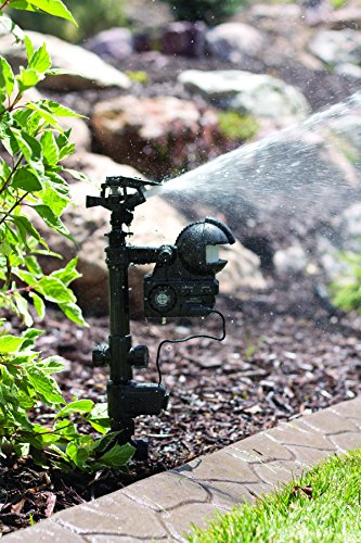 Orbit 62100 Yard Enforcer Motion-Activated Sprinkler with Day & Night Detection Modes,Black