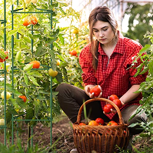 DoCred 3 Pack Tomato Cage, Plant Supports Garden Stakes, Up to 49IN Multi-Functional Garden Trellis Stakes for Climbing Plants Vegetables Flowers