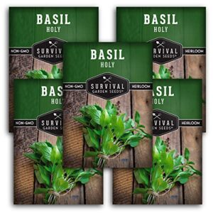 survival garden seeds – holy basil seed for planting – 5 packs with instructions to plant and grow the indian sacred herb tulsi in your home vegetable garden – non-gmo heirloom variety