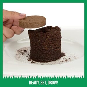 Organic Potting Soil for Indoor/Outdoor Plants, Expands to Fit 3 Inch and 4 Inch Pots - 12 Pack