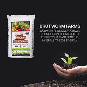 Brut Worm Castings – 30 Lbs – Organic Fertilizer and Soil Builder – Natural Enricher for Healthy Houseplants, Flowers, and Vegetables - Use Indoors or Outdoors - Odor Free