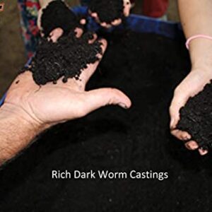 Brut Worm Castings – 30 Lbs – Organic Fertilizer and Soil Builder – Natural Enricher for Healthy Houseplants, Flowers, and Vegetables - Use Indoors or Outdoors - Odor Free