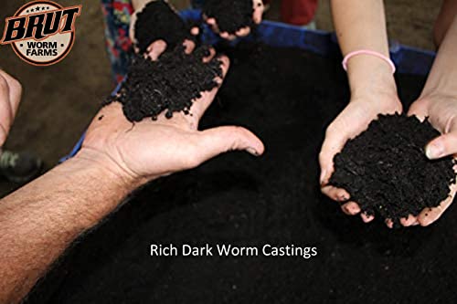 Brut Worm Castings – 30 Lbs – Organic Fertilizer and Soil Builder – Natural Enricher for Healthy Houseplants, Flowers, and Vegetables - Use Indoors or Outdoors - Odor Free