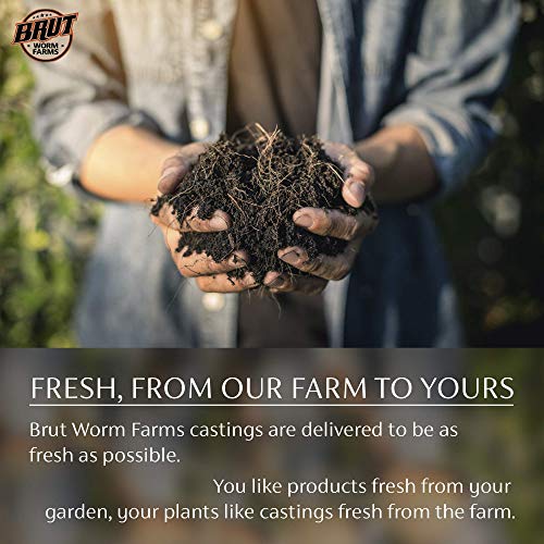 Brut Worm Castings – 30 Lbs – Organic Fertilizer and Soil Builder – Natural Enricher for Healthy Houseplants, Flowers, and Vegetables - Use Indoors or Outdoors - Odor Free
