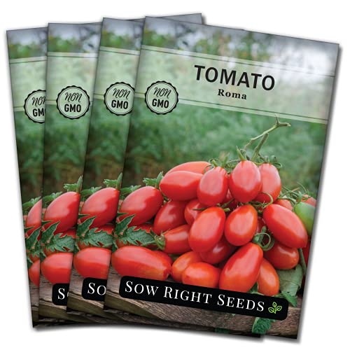 Sow Right Seeds - Roma Tomato Seed for Planting - Non-GMO Heirloom Packet with Instructions to Plant a Home Vegetable Garden - Great Gardening Gift (4)