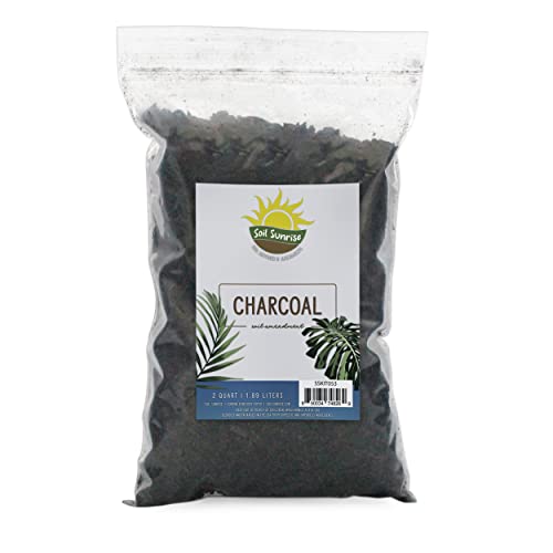 Horticultural Charcoal for Indoor Plants (2 Quarts), Hardwood Soil Amendment for Orchids, Terrariums, and Gardening