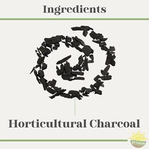 Horticultural Charcoal for Indoor Plants (2 Quarts), Hardwood Soil Amendment for Orchids, Terrariums, and Gardening