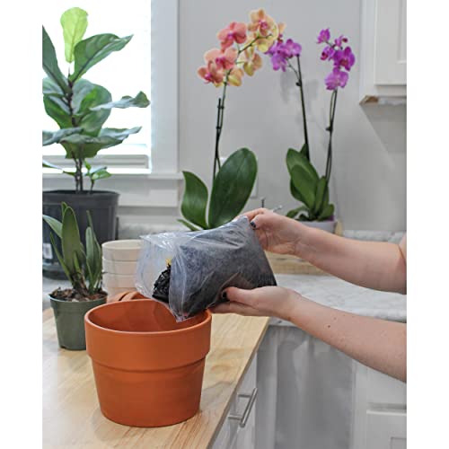 Horticultural Charcoal for Indoor Plants (2 Quarts), Hardwood Soil Amendment for Orchids, Terrariums, and Gardening