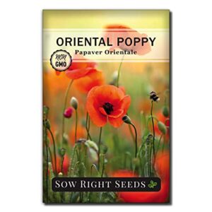 sow right seeds – oriental poppy seeds to plant – full instructions for planting and growing a beautiful flower garden; non-gmo heirloom seeds; wonderful gardening gift (1)