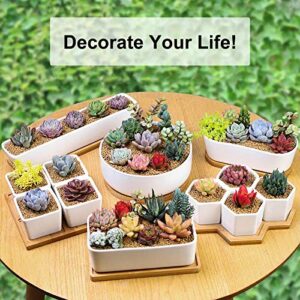 Farielyn-X 2 Pack White Succulent Planter Pots, 11.1 inch Long Rectangle Ceramic Plant Container with Bamboo Saucers, Mini Flower Cactus Pot Indoor Outdoor Home Garden Kitchen Decor, Plant not Include