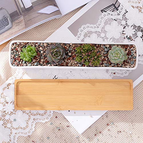 Farielyn-X 2 Pack White Succulent Planter Pots, 11.1 inch Long Rectangle Ceramic Plant Container with Bamboo Saucers, Mini Flower Cactus Pot Indoor Outdoor Home Garden Kitchen Decor, Plant not Include