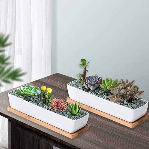 Farielyn-X 2 Pack White Succulent Planter Pots, 11.1 inch Long Rectangle Ceramic Plant Container with Bamboo Saucers, Mini Flower Cactus Pot Indoor Outdoor Home Garden Kitchen Decor, Plant not Include