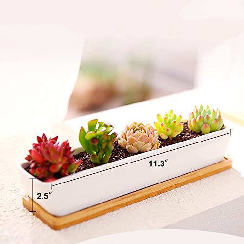 Farielyn-X 2 Pack White Succulent Planter Pots, 11.1 inch Long Rectangle Ceramic Plant Container with Bamboo Saucers, Mini Flower Cactus Pot Indoor Outdoor Home Garden Kitchen Decor, Plant not Include