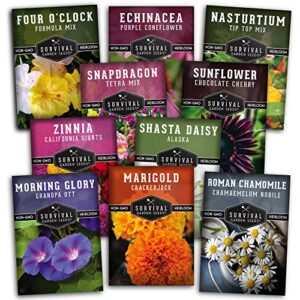 10 flower collection – four o’clock, chamomile, shasta daisy, echinacea coneflower, marigold, morning glory, nasturtium, snapdragon, sunflower zinnia – non-gmo heirloom survival garden seeds