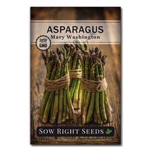 sow right seeds – mary washington asparagus seed for planting – non-gmo heirloom packet with instructions to plant an outdoor home vegetable garden – great gardening gift (1)