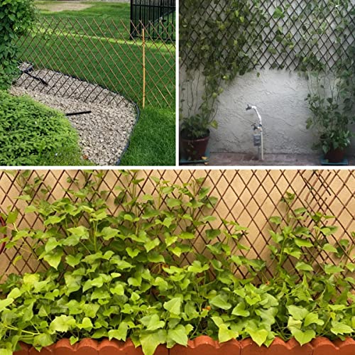 Helprise Expandable Willow Lattice Fence Panel Plant Support Garden Trellis Willow Trellis Fence for Climbing Plants Vine Ivy Rose Cucumbers Clematis Outdoors Garden Yard ,36X92 Inch(2PC)