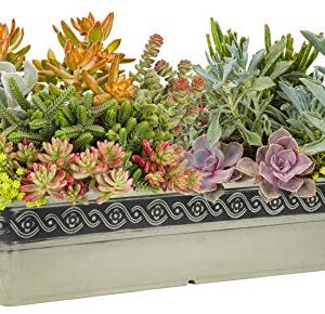 Classic Home and Garden 9418D-060 18" Corinthian Trough planter, Cast Concrete