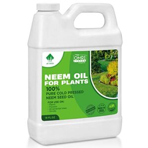 neem oil – neem oil spray for plants – 16 oz – 100% pure cold pressed neem oil for plants concentrate – horticultural spray for indoor and outdoor plants, leaf, garden, vegetable, fruit trees
