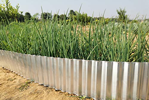 Landscape Edging Borders,Corrugated Metal Garden Lawn Edging for Vegetable,Flower Beds, Patios and Courtyard Fence