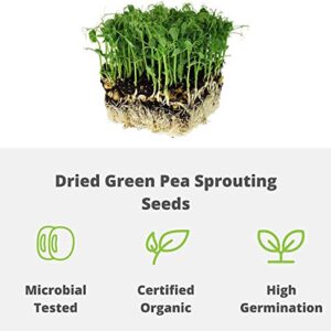 Certified Organic Dried Green Pea Sprouting Seed - 1 Lb - Handy Pantry Brand - Green Pea for Sprouts, Garden Planting, Cooking, Soup, Emergency Food Storage, Vegetable Gardening