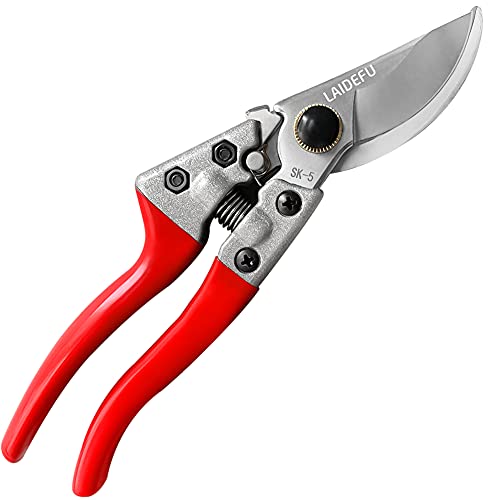 Garden clippers, Pruners for Gardening, pruning shears, gardening tools, for trimming rose, floral, tree, plants, sharp garden scissors, arthritis weak hand snips.