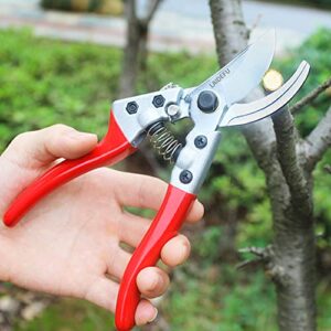 Garden clippers, Pruners for Gardening, pruning shears, gardening tools, for trimming rose, floral, tree, plants, sharp garden scissors, arthritis weak hand snips.