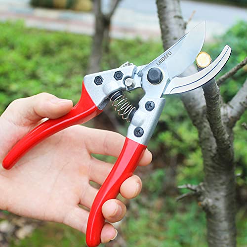 Garden clippers, Pruners for Gardening, pruning shears, gardening tools, for trimming rose, floral, tree, plants, sharp garden scissors, arthritis weak hand snips.