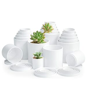 pack of 20 plastic plant pots (4 set of 2 inch, 2.5 inch, 3 inch, 3.5 inch, 4 inch) small garden planter pots for plant with drainage holes and saucers, white color, 74-u-xs-1