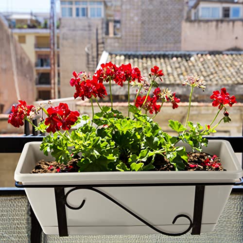 12 Pieces Rectangle Window Box Planter 17 Inch Window Plant Box Herb Planter Plastic Herb Pots for Indoor Plants Large Window Flower Boxes Outdoor with Tray for Garden, Balcony Home Decor (Light Gray)