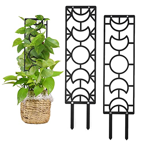 2pcs Metal Plant Trellis for Climbing Support, 19inch Indoor Houseplant Trellis Flower Potted Plants Moon Phase Small Garden Trellis with Moisture-Proof Layer for Pot Plant Vine Monstera (Black)