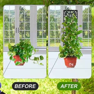 2pcs Metal Plant Trellis for Climbing Support, 19inch Indoor Houseplant Trellis Flower Potted Plants Moon Phase Small Garden Trellis with Moisture-Proof Layer for Pot Plant Vine Monstera (Black)