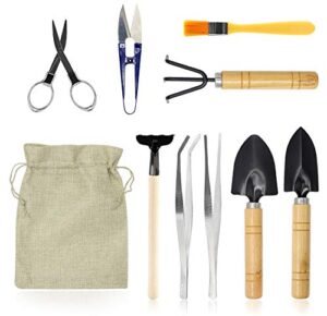 falidi bonsai set 10 pcs-mini gardening tools kit for indoor outdoor bonzai include pruner, fold scissors, mini rake, tweezers, cleaning brush
