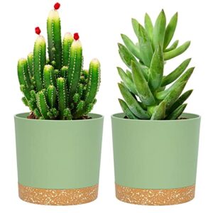 qcqhdu plant pots set of 2 pack 5 inch,planters for indoor plants with drainage holes and removable base,saucer modern decorative for outdoor garden planters(green 5in)
