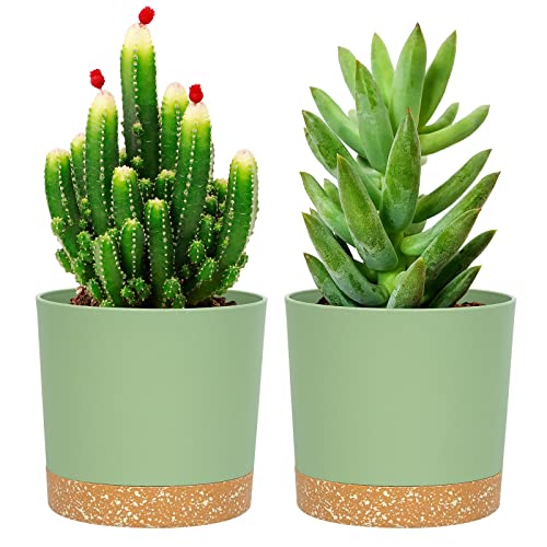 QCQHDU Plant Pots Set of 2 Pack 5 inch,Planters for Indoor Plants with Drainage Holes and Removable Base,Saucer Modern Decorative for Outdoor Garden Planters(Green 5in)