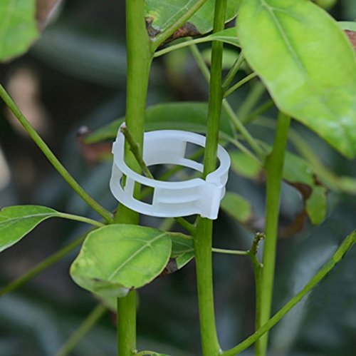 100PCS Plant Support Garden Clips Tomato Clips Supports/Connects Plants/Twine/Vines Trellis/Cages Plant Vine Vegetable Fastening Clip Grafting Tools Make Plant Grow Upright and Healthier (100PCS)