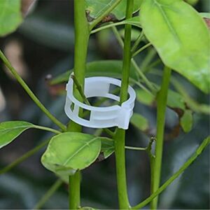 100PCS Plant Support Garden Clips Tomato Clips Supports/Connects Plants/Twine/Vines Trellis/Cages Plant Vine Vegetable Fastening Clip Grafting Tools Make Plant Grow Upright and Healthier (100PCS)