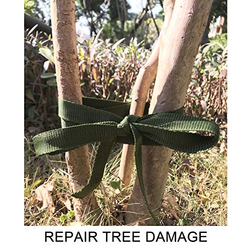 Alshurlife Green Tree Tie Strap 3/4'' x 50' Garden Tie for Outdoor Use Plant Supports Tree Tie for Staking and Guying, 1,500 Lbs Strength