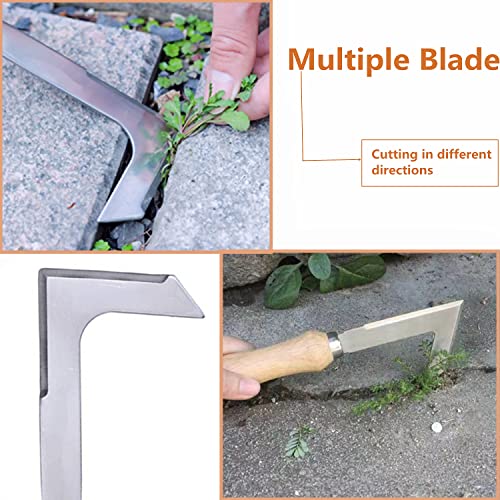 goldhik Crack Weeder, 8.7" Stainless Steel Crevice Weeding Sickle Manual Weeder Lawn Yard Garden Sidewalk Tool