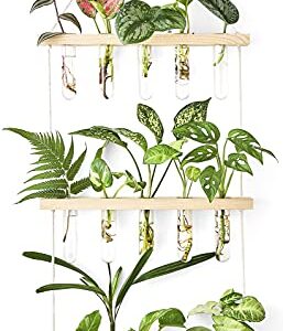 Mkono Plant Propagation Tubes, 3 Tiered Wall Hanging Plant Terrarium with Wooden Stand Mini Test Tube Flower Vase Glass Planter for Hydroponic Plant Cutting Home Garden Office Decor Plant Lover Gift