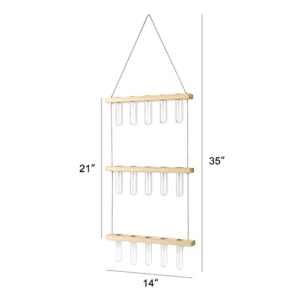 Mkono Plant Propagation Tubes, 3 Tiered Wall Hanging Plant Terrarium with Wooden Stand Mini Test Tube Flower Vase Glass Planter for Hydroponic Plant Cutting Home Garden Office Decor Plant Lover Gift