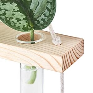 Mkono Plant Propagation Tubes, 3 Tiered Wall Hanging Plant Terrarium with Wooden Stand Mini Test Tube Flower Vase Glass Planter for Hydroponic Plant Cutting Home Garden Office Decor Plant Lover Gift