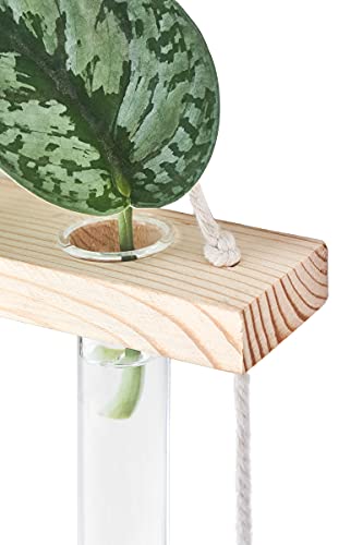 Mkono Plant Propagation Tubes, 3 Tiered Wall Hanging Plant Terrarium with Wooden Stand Mini Test Tube Flower Vase Glass Planter for Hydroponic Plant Cutting Home Garden Office Decor Plant Lover Gift